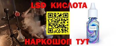 прущие грибы Кимры