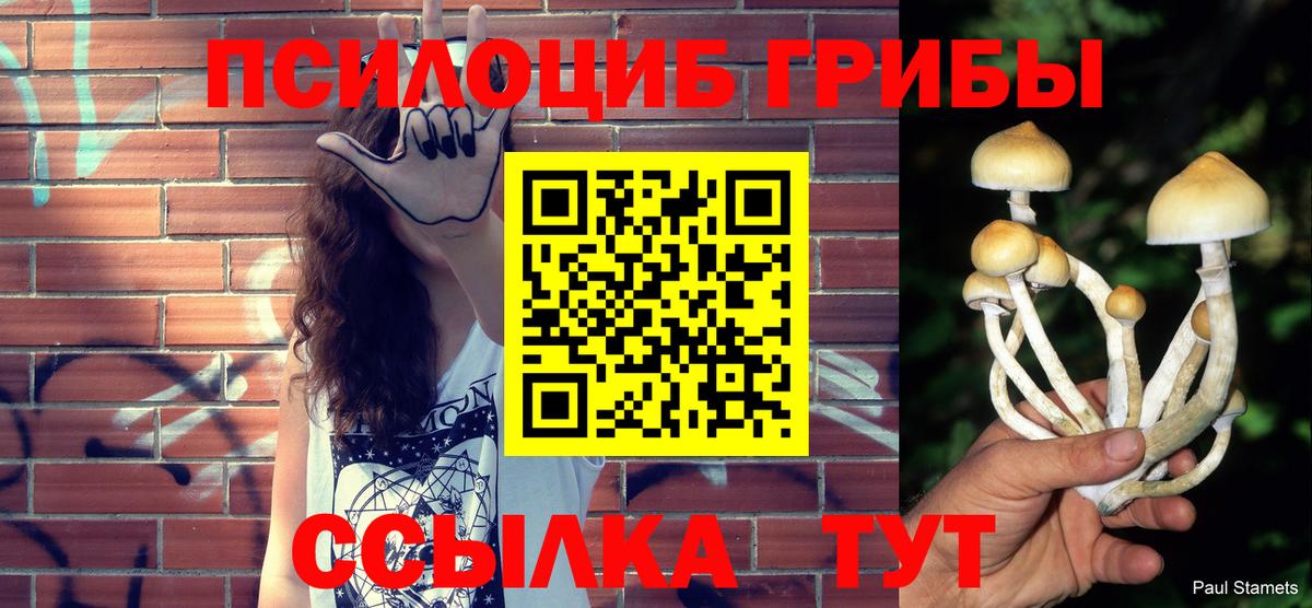 Cocaine  Гашиш  ГАШИШ  NBOMe  Кисловодск  Вход с VPN  МЕФ кристаллы 